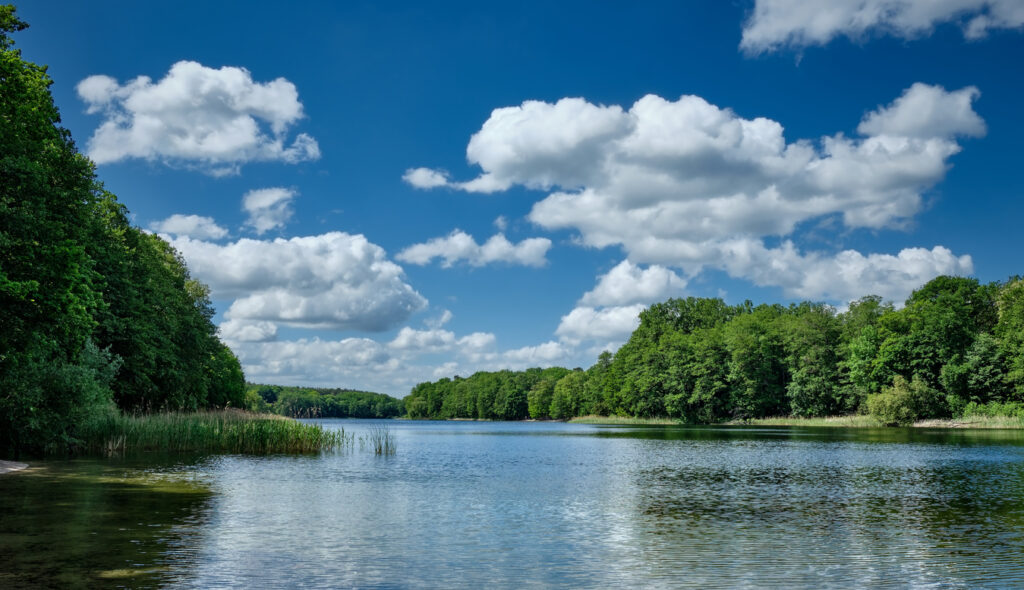 blick auf den grunewaldsee