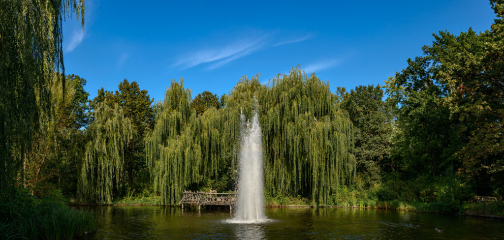 kleiner teich im friedrichshainer volkspark